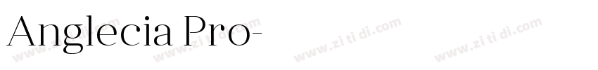 Anglecia Pro字体转换